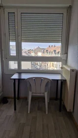 Homestay Mulhouse, 68100, obraz 1 5
