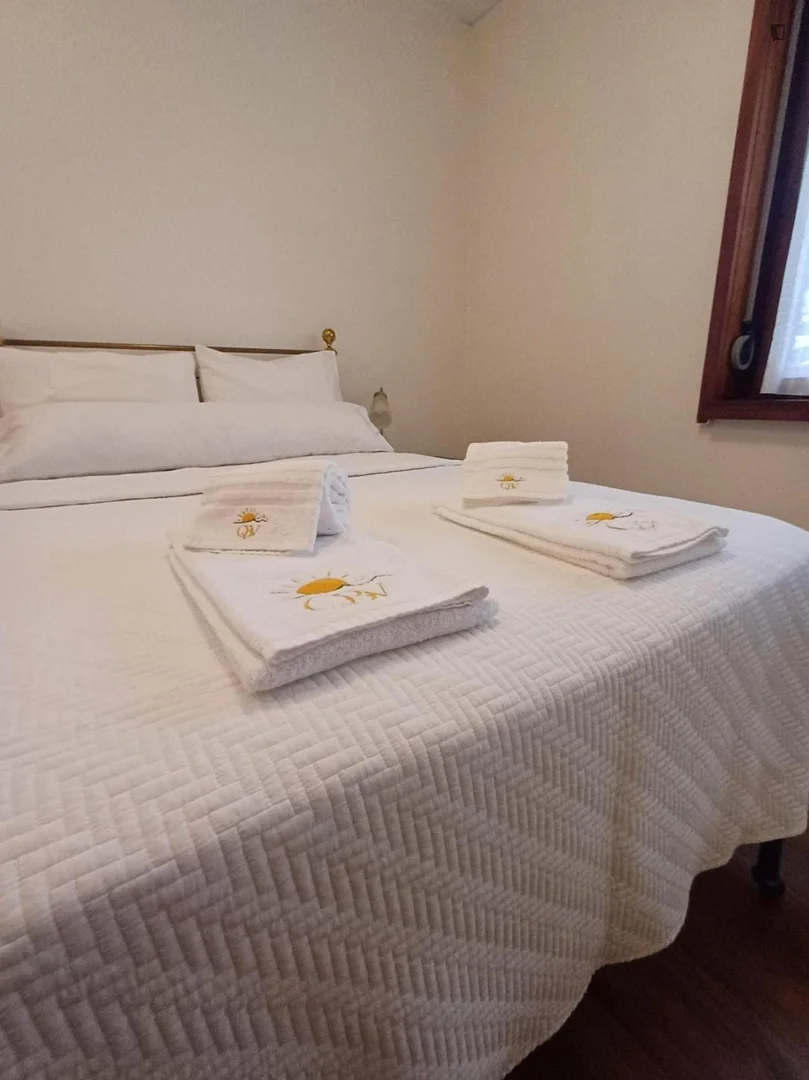 Budget-friendly student room close to campus in 