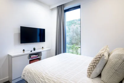 Gesamte Unterkunft im Wohnheim in der 50 Morfa Rd, Swansea SA1 2FD, United Kingdom                 , bild 2 von 49