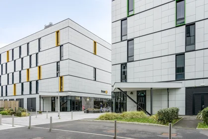 Gesamte Unterkunft im Wohnheim in der 50 Morfa Rd, Swansea SA1 2FD, United Kingdom                 , bild 14 von 49