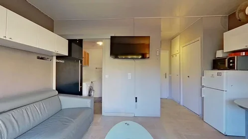 Entire apartment at Avenue du Docteur Raymond Picaud, Cannes la Bocca, image 4 of 10