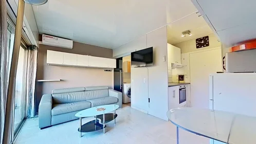 Entire apartment at Avenue du Docteur Raymond Picaud, Cannes la Bocca, image 5 of 10