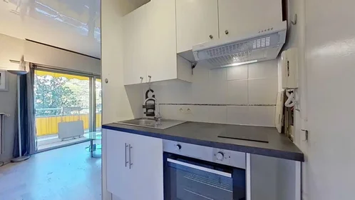 Entire apartment at Avenue du Docteur Raymond Picaud, Cannes la Bocca, image 7 of 10
