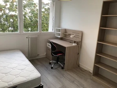 Chambre privée à Avenue du Bel-Air, Poudrette-Les Brosses, image 6 de 10