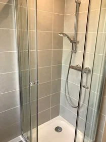 Chambre privée à Avenue du Bel-Air, Poudrette-Les Brosses, image 8 de 10