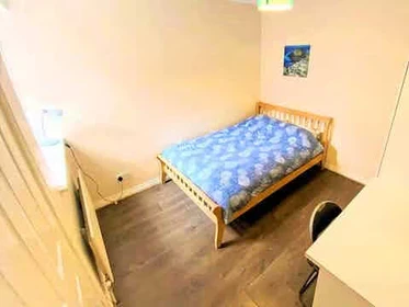 Cheap private room in Cork