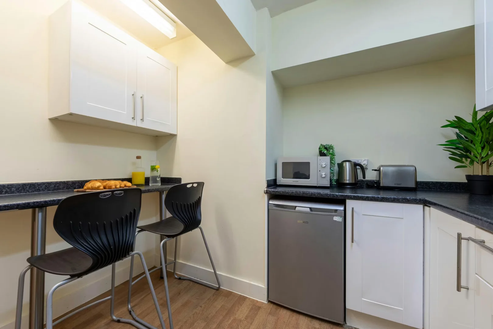 Affordable room for students with ample lighting in 