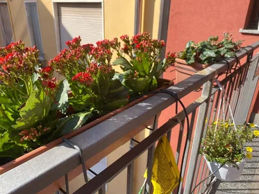 Apartamento inteiro em Via Privata Tirso, imagem 7 de 20