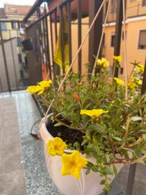 Apartamento inteiro em Via Privata Tirso, imagem 8 de 20