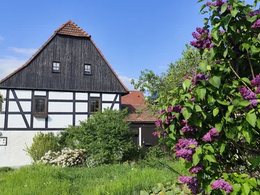 Stanza privata in Zur Hohle, immagine 1 di 25