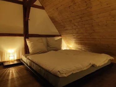 Stanza privata in Zur Hohle, immagine 15 di 25