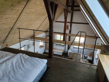 Stanza privata in Zur Hohle, immagine 16 di 25