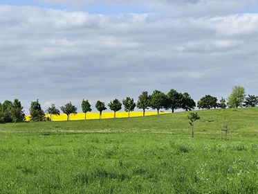 Prywatny pokój Zur Hohle, obraz 20 25