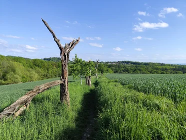 Stanza privata in Zur Hohle, immagine 23 di 25