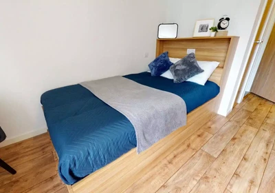 Cheap private room in London