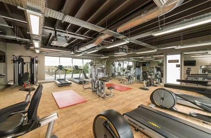 Privatzimmer in der Renny's Lane, bild 14 von 15