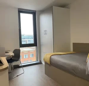Chambre à louer dans un appartement en colocation à Belfast