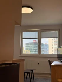 Gesamte Unterkunft in der Krivá, Košice, bild 8 von 10