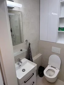 Gesamte Unterkunft in der Krivá, Košice, bild 9 von 10
