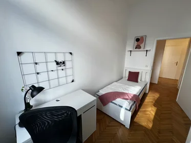 Habitación privada en Burggasse, Neubau, imagen 1 de 10