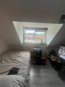 Private room at Benoitstraat, image 1 of 3