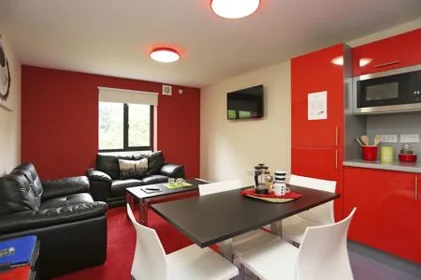 Private room in residence at Behn Hall, Parham Rd, Canterbury CT1 1YN, United Kingdom, image 6 of 29