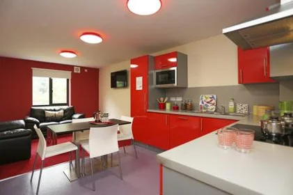 Private room in residence at Behn Hall, Parham Rd, Canterbury CT1 1YN, United Kingdom, image 7 of 29
