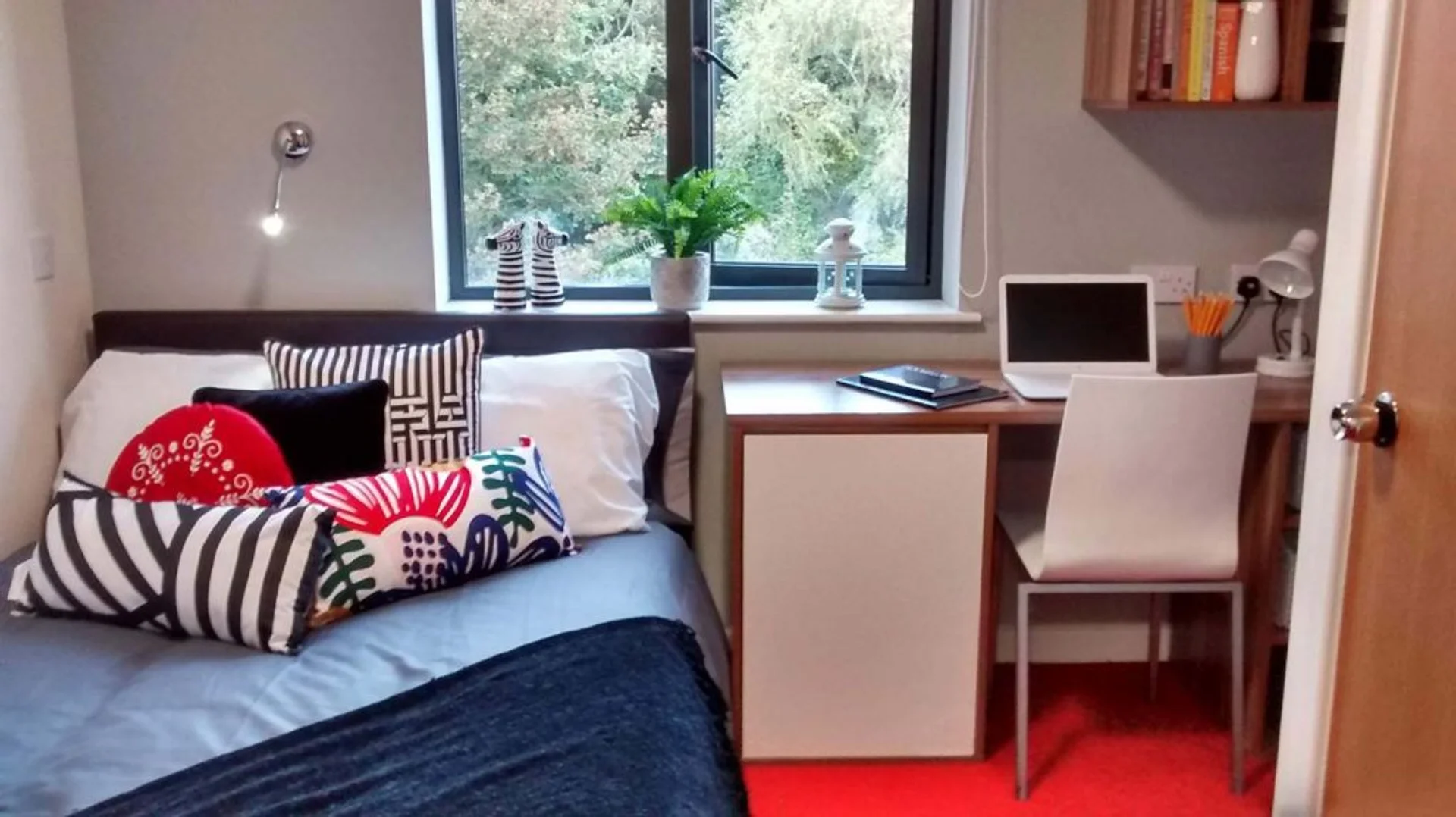 Bright and airy student room with easy university access in 