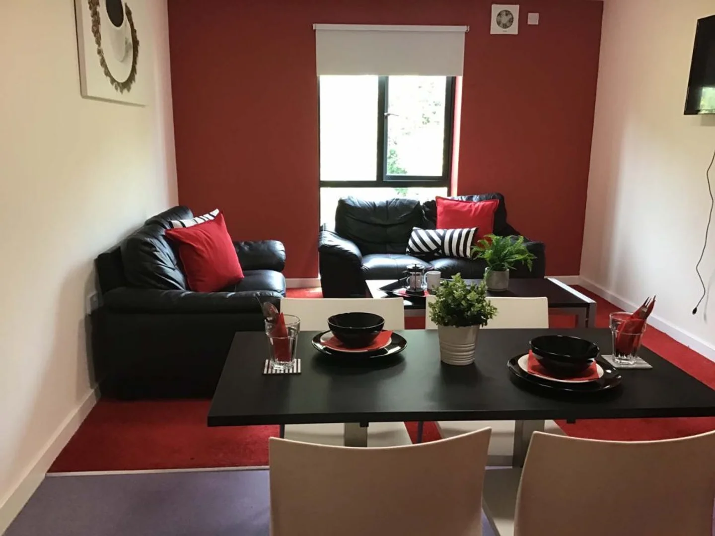 Affordable room for students with ample lighting in 