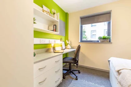 Private room in residence at Portland Rd, Shieldfield, Newcastle upon Tyne NE2 1DT, United Kingdom              , image 3 of 30
