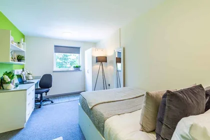 Private room in residence at Portland Rd, Shieldfield, Newcastle upon Tyne NE2 1DT, United Kingdom              , image 22 of 30