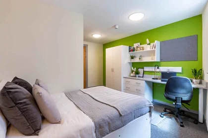 Private room in residence at Portland Rd, Shieldfield, Newcastle upon Tyne NE2 1DT, United Kingdom              , image 23 of 30