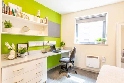 Private room in residence at Portland Rd, Shieldfield, Newcastle upon Tyne NE2 1DT, United Kingdom              , image 24 of 30