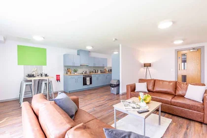 Private room in residence at Portland Rd, Shieldfield, Newcastle upon Tyne NE2 1DT, United Kingdom              , image 28 of 30
