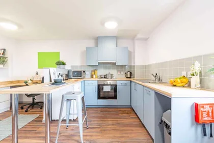 Private room in residence at Portland Rd, Shieldfield, Newcastle upon Tyne NE2 1DT, United Kingdom              , image 30 of 30