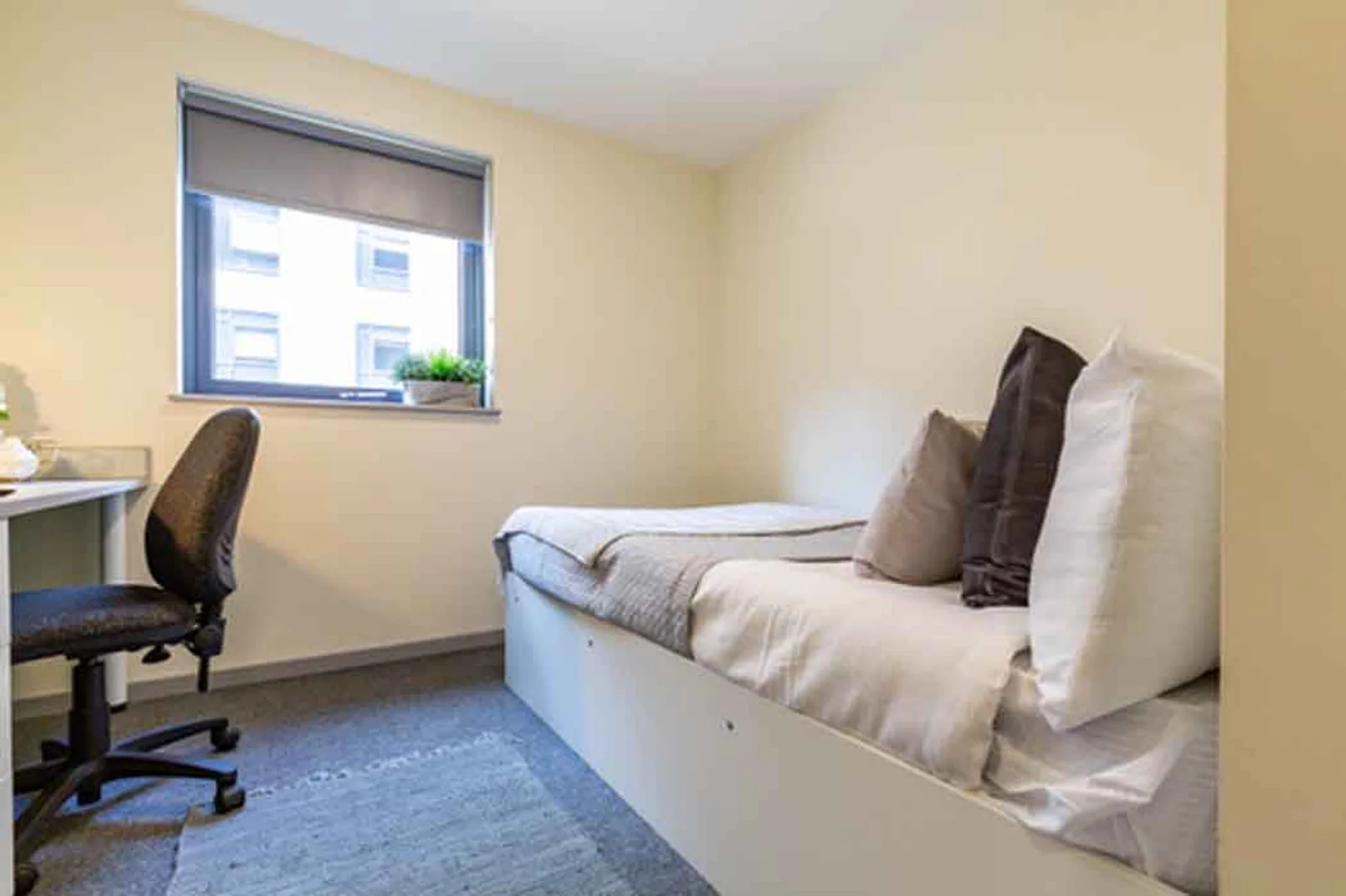 Student-friendly room in  with modern amenities