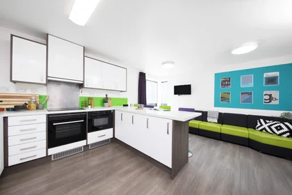 Private room in residence at 60 Moira Street, Liverpool L6 1BA, United Kingdom, image 11 of 36