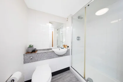 Private room in residence at 60 Moira Street, Liverpool L6 1BA, United Kingdom, image 36 of 36