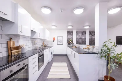 Prywatny pokój w rezydencji 5 Clarence St, Shieldfield, Newcastle upon Tyne NE2 1YL, United Kingdom                 , obraz 25 48