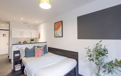 Habitación privada en residencia en 5 Clarence St, Shieldfield, Newcastle upon Tyne NE2 1YL, United Kingdom, imagen 12 de 48