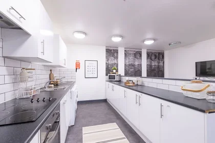 Prywatny pokój w rezydencji 5 Clarence St, Shieldfield, Newcastle upon Tyne NE2 1YL, United Kingdom                 , obraz 37 48
