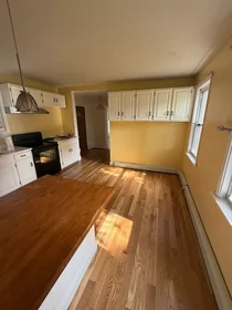 Toda a acomodação em 49, Olney St., Unit 1, Dorchester, Boston, MA, 02121, imagem 1 de 10