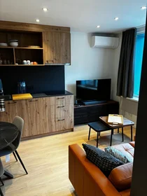 Logement entier à Beatrijslaan 34, image 6 de 11