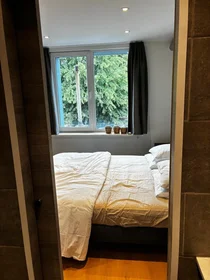 Logement entier à Beatrijslaan 34, image 9 de 11