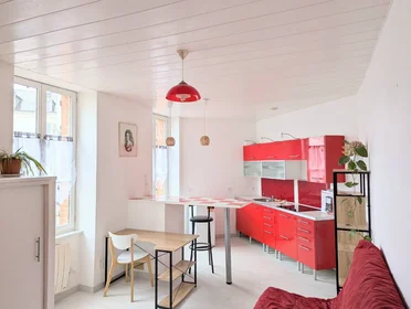 Bright private room in {area}