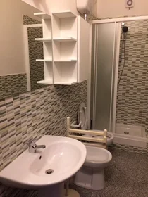 Shared room at Via Vittorio Emanuele II, Santa Maria Novella, image 8 of 10