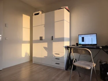Private room at Windesheimstraat, image 1 of 4
