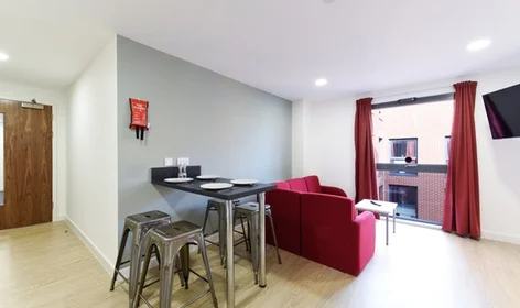 Prywatny pokój Vincent Place, Vincents Walk, Southampton SO14 1JY, United Kingdom, obraz 1 10