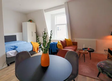 Appartamento intero in Saftlevenstraat, Stadscentrum, immagine 1 di 10