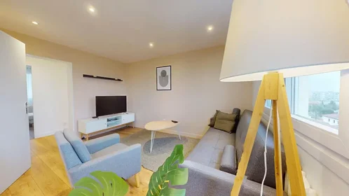 Özel oda konumu Rue Anatole France, Vaulx En Velin Village, 7 10 görüntüsü